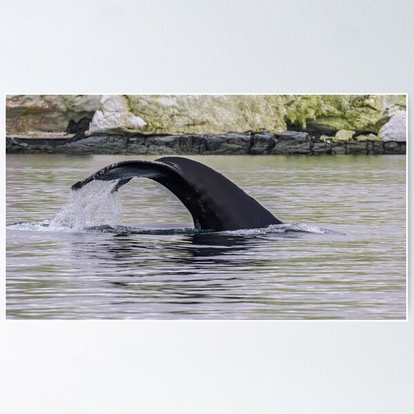 Item preview, Waterfall Tail designed and sold by Jan Fijolek.