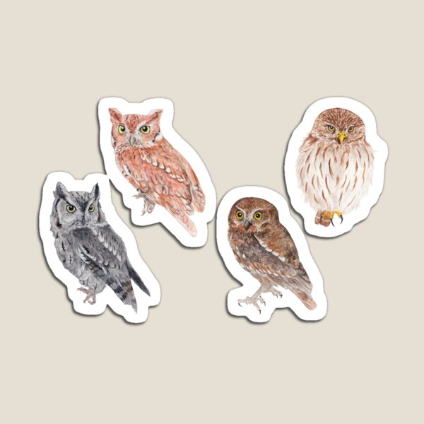 Item preview, Detailed realistic watercolor illustrations of 4 north america owls  designed and sold by Spirit Mouse.