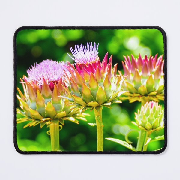Item preview, Scottish Thistle Flowers designed and sold by jaynerushton.