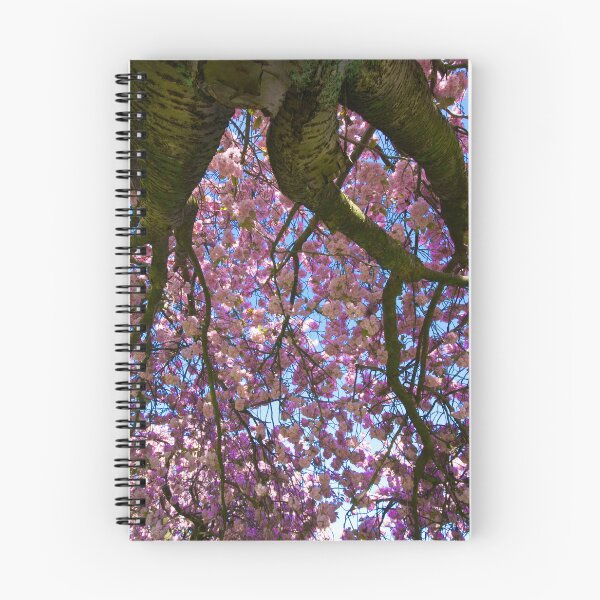Item preview, Harrogate Cherry Blossom Tree designed and sold by Alisonchambers2.