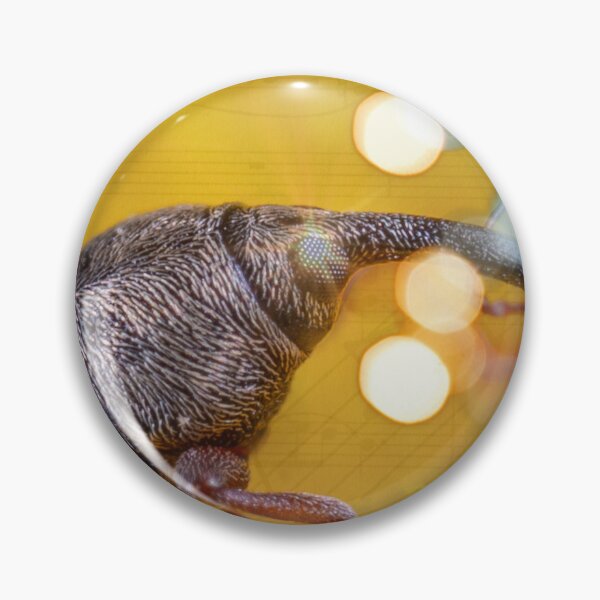 Item preview, Beetle Music Mixed Media with Digital Edits designed and sold by Shlerm Arts.