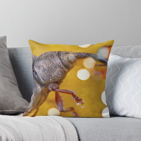 Item preview, Beetle Music Mixed Media with Digital Edits designed and sold by Shlerm Arts.