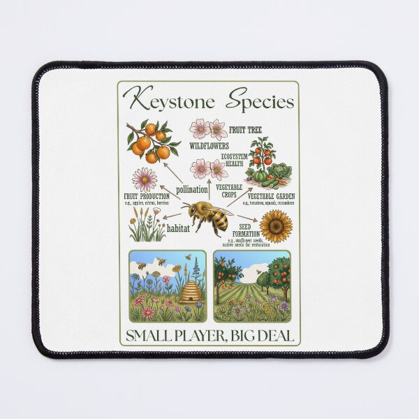 Item preview, Keystone Species Bees designed and sold by SilverOutlining.