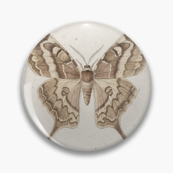 Item preview, Vintage Moth Specimen Study Natural History Print designed and sold by PictorialWhimsy.