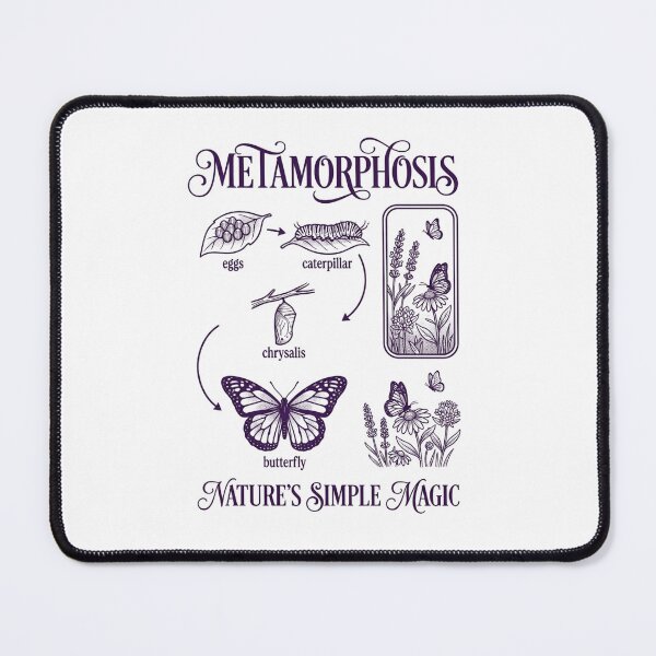 Item preview, Butterfly Metamorphosis Cycle designed and sold by SilverOutlining.