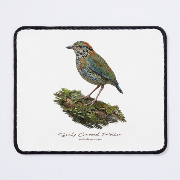 Item preview, Scaly Ground Roller on Mossy Log designed and sold by Takeda-art.