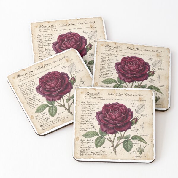 Item preview, Moody Vintage Botanical Rose Illustration designed and sold by ryanguas.