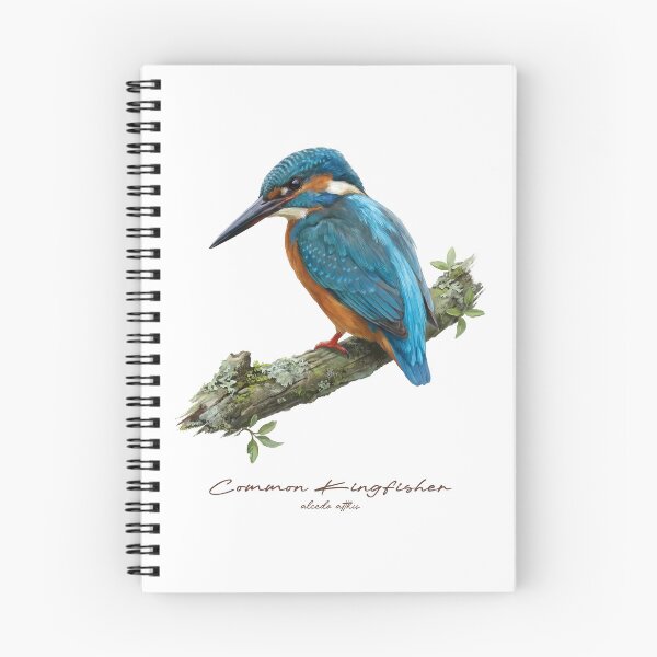 Item preview, Common Kingfisher on Mossy Branch designed and sold by Takeda-art.