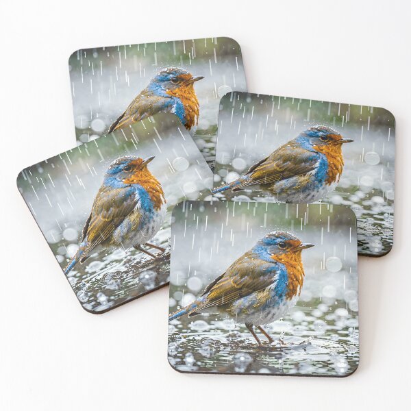 Item preview, The songbird in the rain designed and sold by VoidVeilStudio.