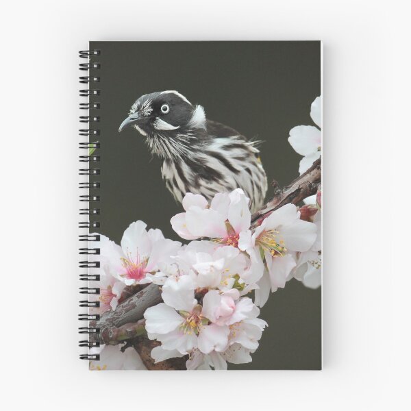 Aperçu de l'œuvre New Holland Honeyeater apprécie les fleurs créée et vendue par Seesee.