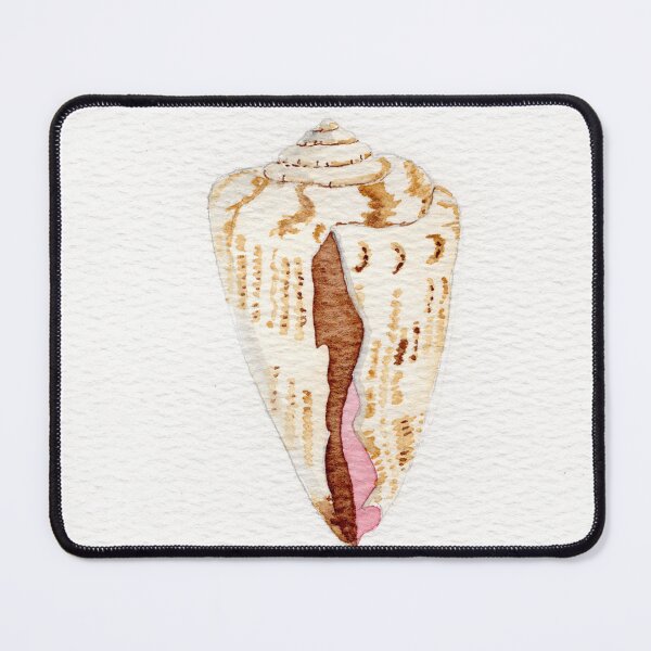 Item preview, Delicate watercolor painting of a cone shell.  designed and sold by KPierceArt.