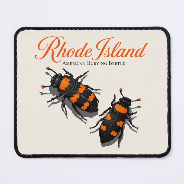 Item preview, Rhode Island American Burying Beetle Poster designed and sold by The-Drip-Studio.