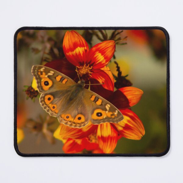 Item preview, winter butterfly designed and sold by floral25.
