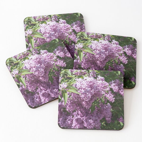 Item preview, Vivid Fragrant Lilac Bush Blooming in the Sunshine designed and sold by Georgia Mizuleva.