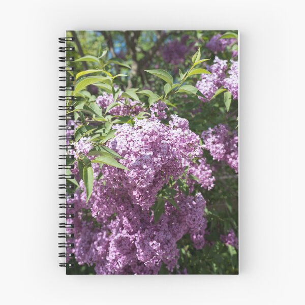 Item preview, Vivid Fragrant Lilac Bush Blooming in the Sunshine designed and sold by Georgia Mizuleva.
