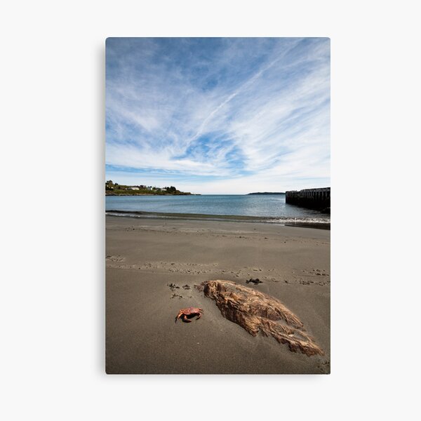 Witless Bay Canvas Print