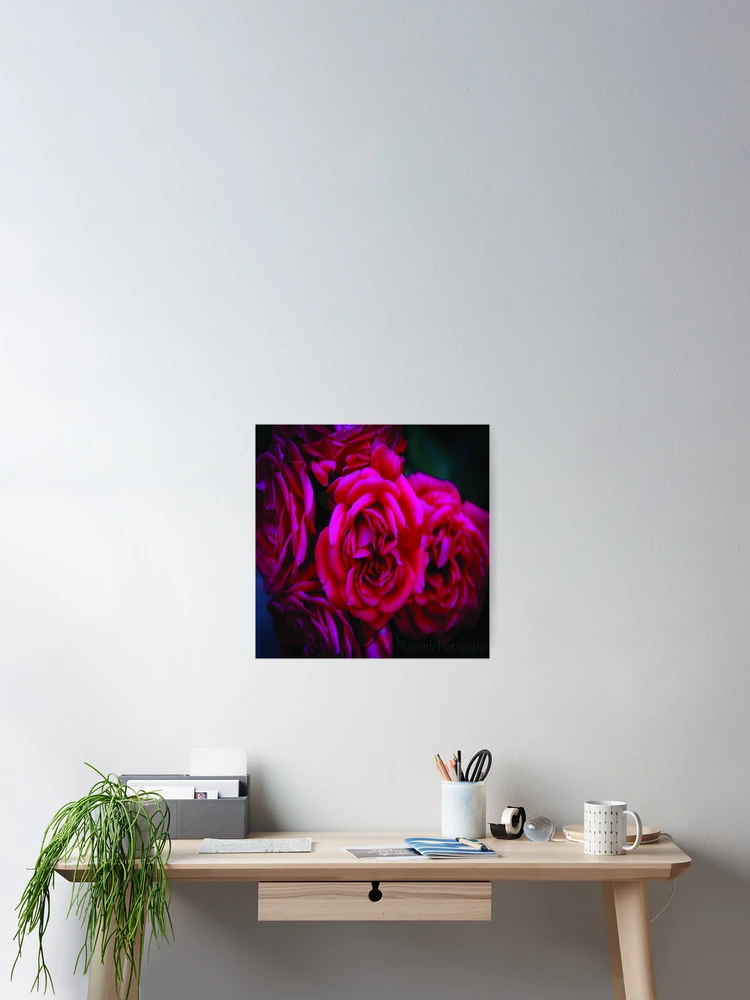 Thumbnail 2 of 3, Poster, Pink Roses designed and sold by Leonie Morris.