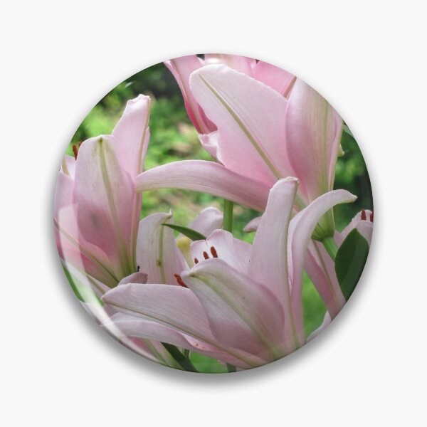 Item preview, Pink Lily Blooms designed and sold by collageDP.