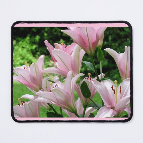 Item preview, Pink Lily Blooms designed and sold by collageDP.
