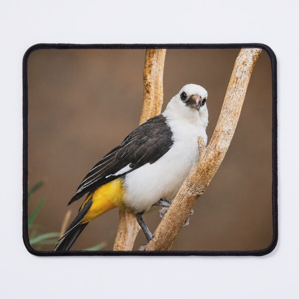 Item preview, The Watchful Weaver designed and sold by AutumnLeAnnDesigns.