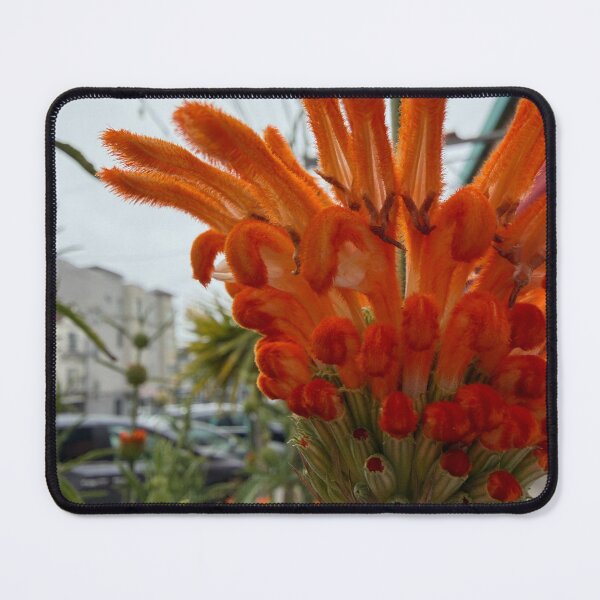 Item preview, Fuzzy Orange Petals designed and sold by Betsy Phillips.