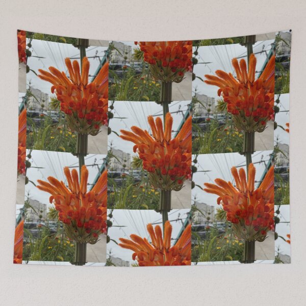 Item preview, Fuzzy Orange Petals designed and sold by Betsy Phillips.