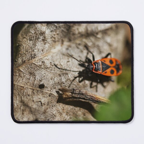 Item preview, Closeup Photo of a Firebug designed and sold by AidyTheWeird.