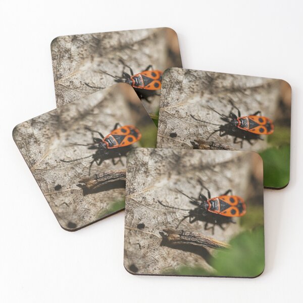 Item preview, Closeup Photo of a Firebug designed and sold by AidyTheWeird.