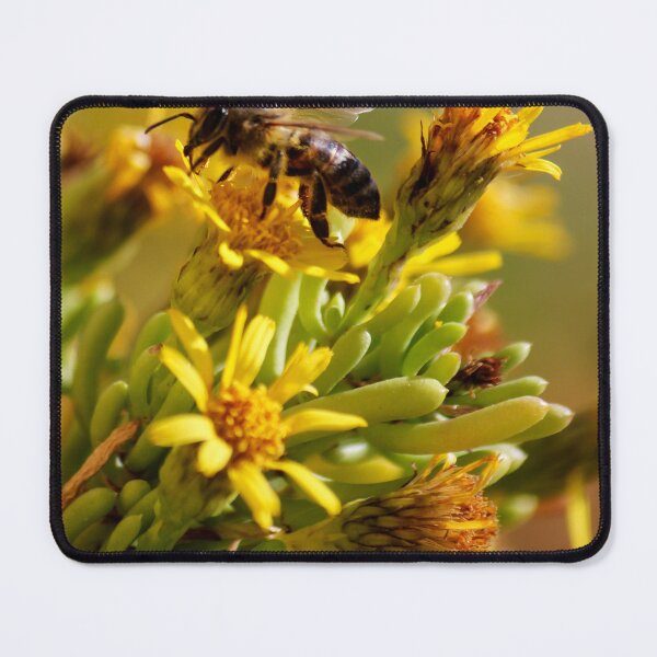 Item preview, Honey Bee Pollinating Yellow Wildflowers Close-Up Macro Photo Showing Nature And Spring Activity designed and sold by Nmallia.