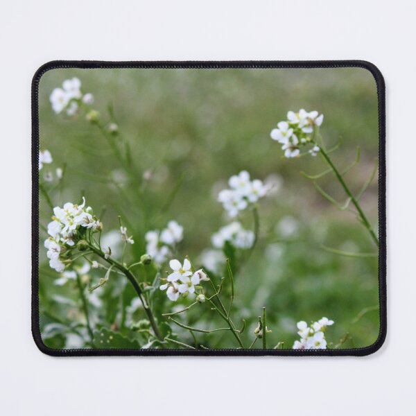 Item preview, White Wildflowers Close-Up In Green Field On Spring Meadow With Soft Focus Background designed and sold by Nmallia.