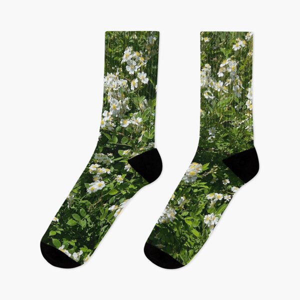 Item preview, Wild White Roses | EDINSTEPPE Collection designed and sold by E D I N S T E P P E.