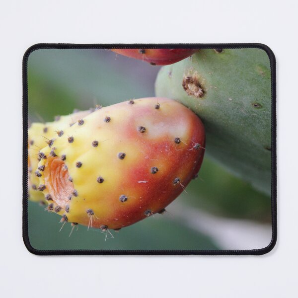 Item preview, Close-Up Of Ripe Prickly Pear Cactus Fruit On Green Opuntia Pad Macro Desert Plant designed and sold by Nmallia.