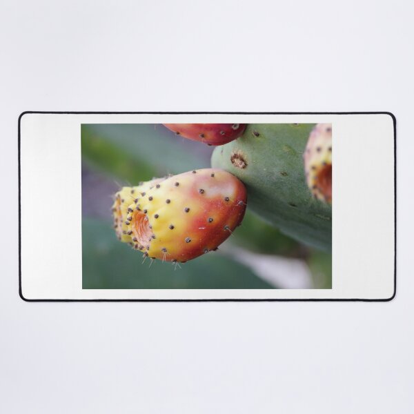 Item preview, Close-Up Of Ripe Prickly Pear Cactus Fruit On Green Opuntia Pad Macro Desert Plant designed and sold by Nmallia.