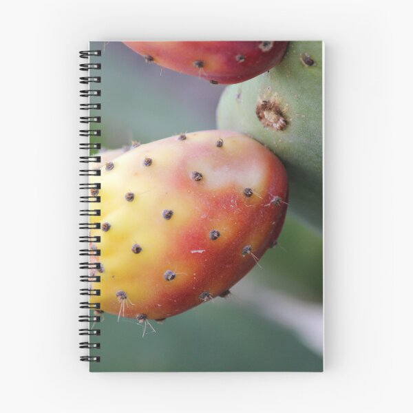 Item preview, Close-Up Of Ripe Prickly Pear Cactus Fruit On Green Opuntia Pad Macro Desert Plant designed and sold by Nmallia.