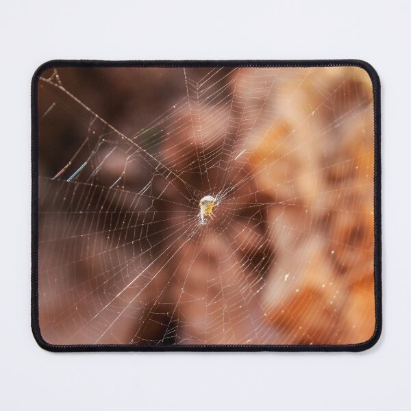Item preview, Close-Up Spider Web With Small Spider at Center and Warm Golden Bokeh Background designed and sold by Nmallia.