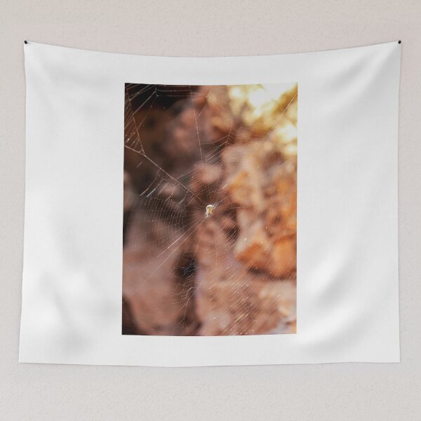 Item preview, Close-Up Spider Web With Small Spider at Center and Warm Golden Bokeh Background designed and sold by Nmallia.