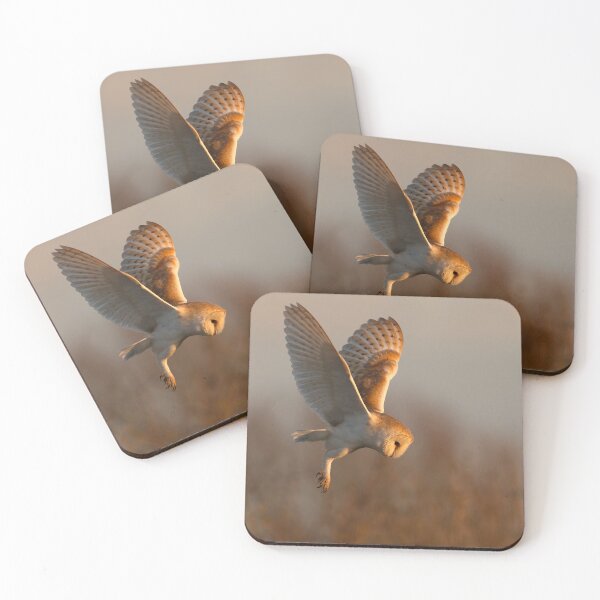 Item preview, Barn Owl Hunting in Golden Light designed and sold by Scott-Tilley Photography.