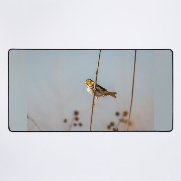 Item preview, Savannah Sparrow in Golden Morning Light designed and sold by Debra Martz.