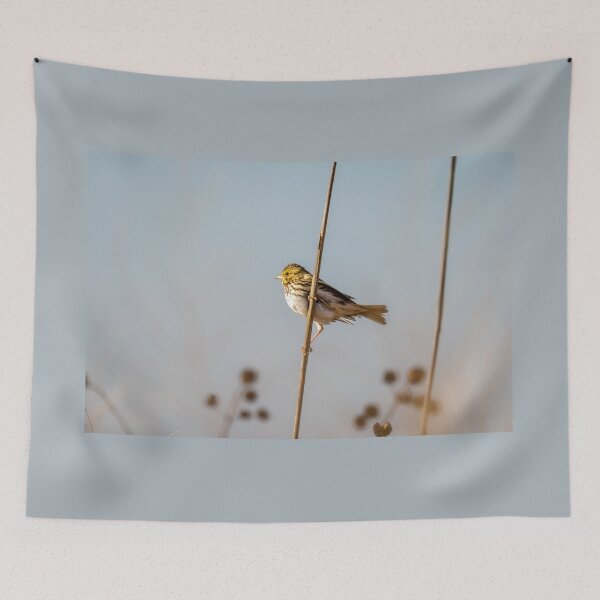 Item preview, Savannah Sparrow in Golden Morning Light designed and sold by Debra Martz.