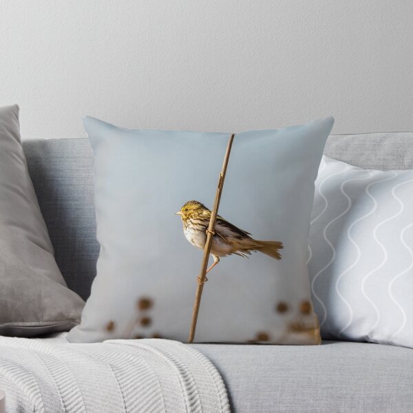Item preview, Savannah Sparrow in Golden Morning Light designed and sold by Debra Martz.