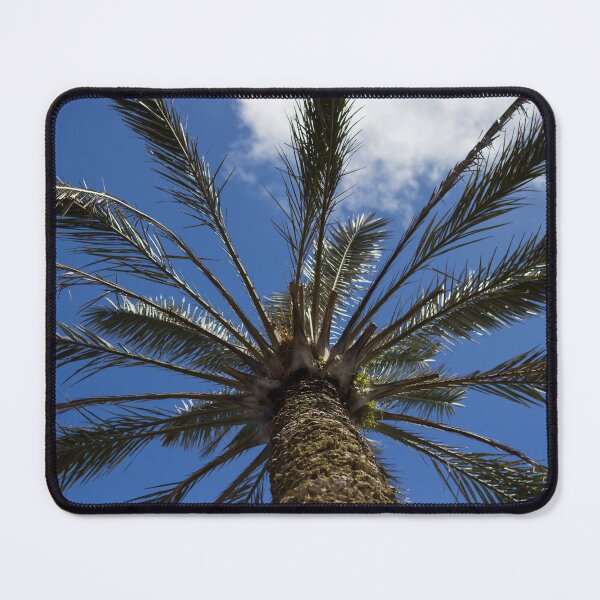 Item preview, Looking Up at a Tall Palm Tree Against a Bright Blue Sky With Wispy Clouds designed and sold by Nmallia.