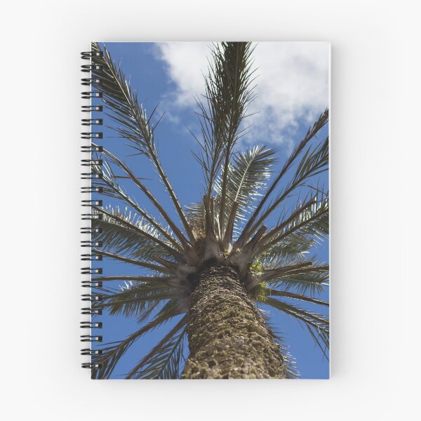 Item preview, Looking Up at a Tall Palm Tree Against a Bright Blue Sky With Wispy Clouds designed and sold by Nmallia.