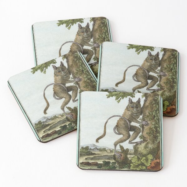 Item preview, Tarsier drawn in 1780 for Comte de Buffon designed and sold by TerryKerrImages.