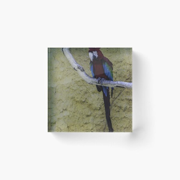 Item preview, Colorful Scarlet Macaw Perched on Branch Against Textured Yellow Background, Tropical Bird Portrait designed and sold by Nmallia.