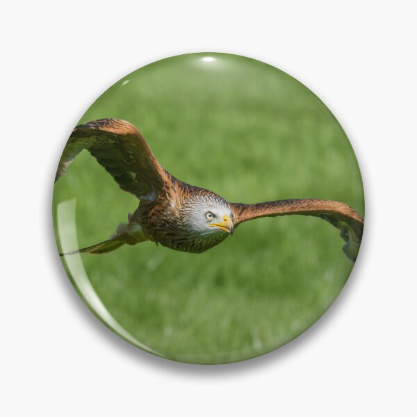 Item preview, Red Kite designed and sold by Gary Chadbond Photography.