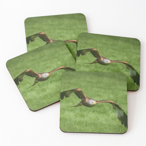 Item preview, Red Kite designed and sold by Gary Chadbond Photography.