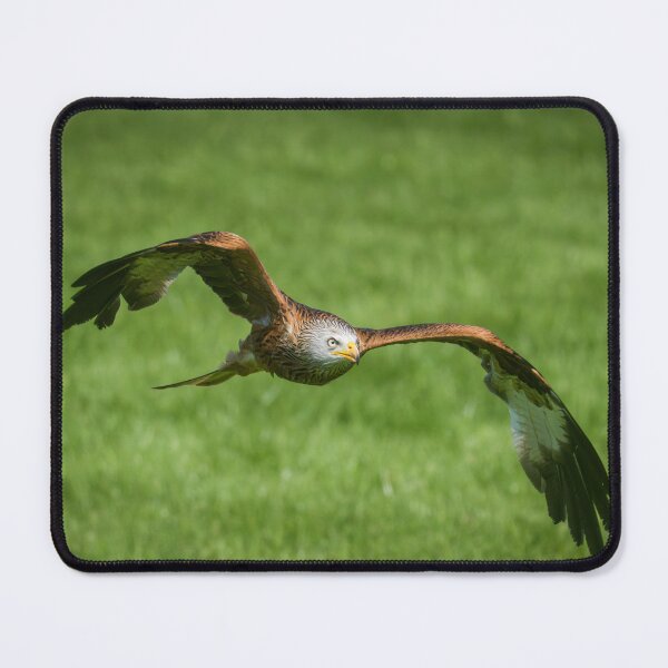 Item preview, Red Kite designed and sold by Gary Chadbond Photography.