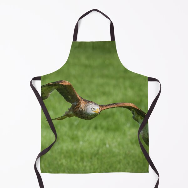 Item preview, Red Kite designed and sold by Gary Chadbond Photography.