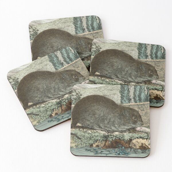 Item preview, Water vole drawn for 18th century French naturalist designed and sold by TerryKerrImages.