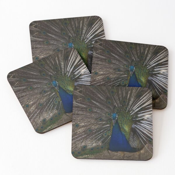 Item preview, Majestic Male Peacock Displaying Colorful Plumage and Iridescent Feathers in Full Fan designed and sold by Nmallia.